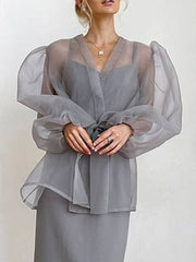 Sheer Top V Neck Long Puff Sleeves Bow Tie Chic Blouse