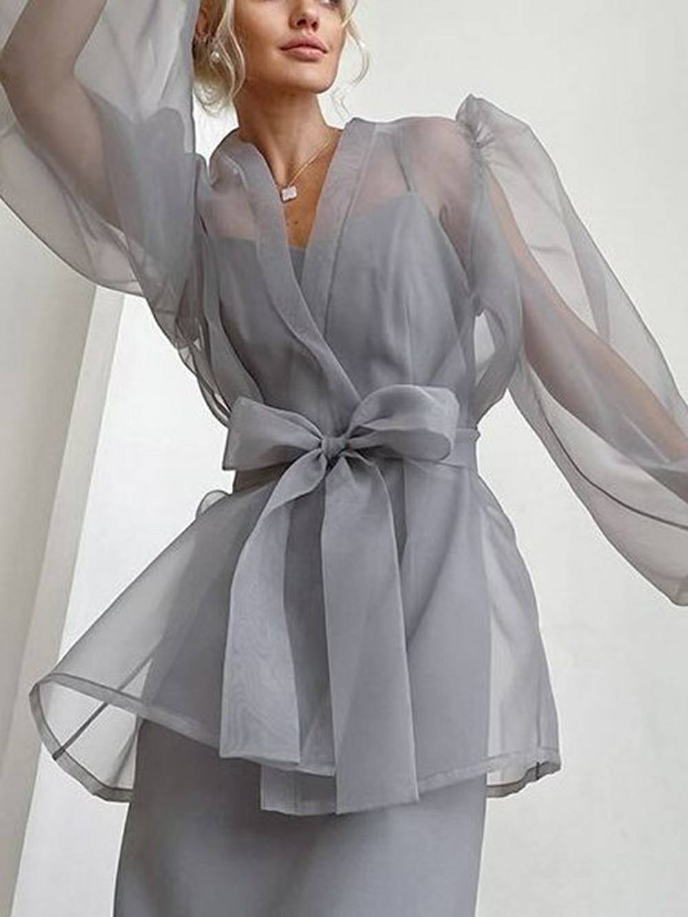 Sheer Top V Neck Long Puff Sleeves Bow Tie Chic Blouse