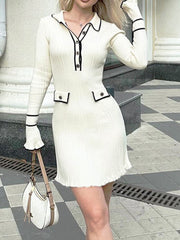 Long Sleeve Collared Knit Mini Dress