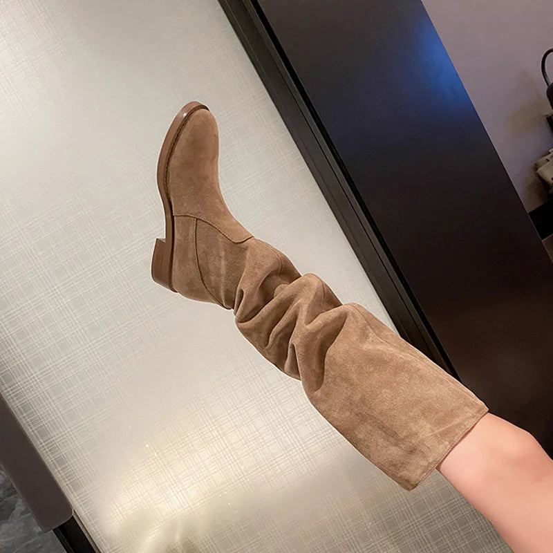 Women's Brown Suede Knee High Boots