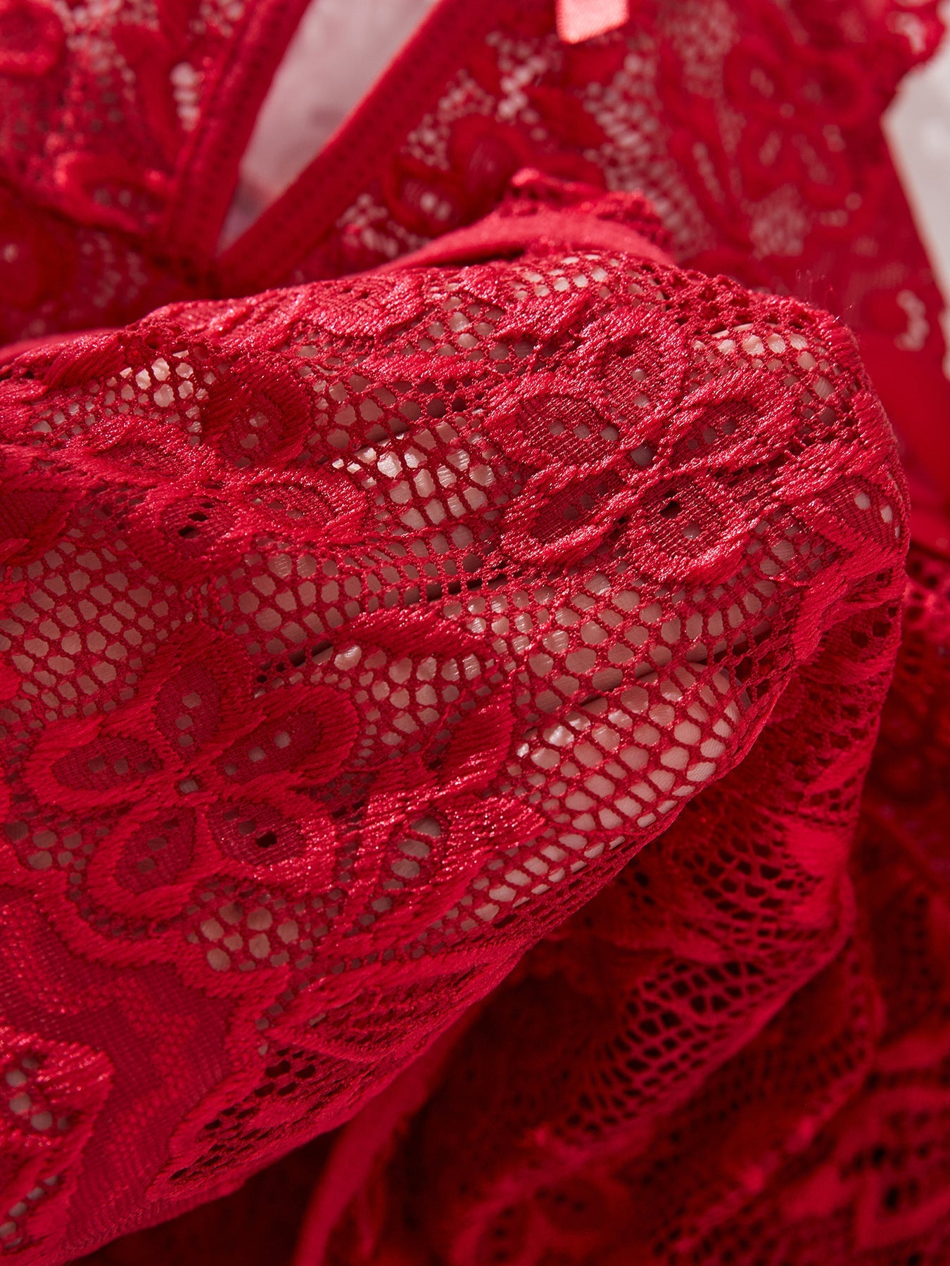 Plus Size Lingerie Sheer
